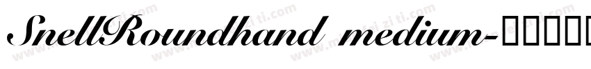 SnellRoundhand medium字体转换